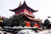 汶上宝相寺雪景