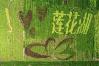 汶上美丽乡村八里桥