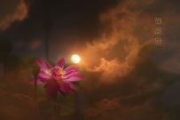 花月夜